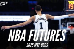 勇士队新赛季后场新星加盟，库里领衔新组合蓄势待发